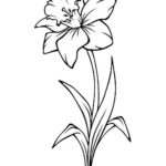 dibujo flores para colorear