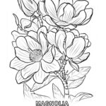 dibujo flores para colorear