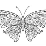 dibujo mariposa para colorear