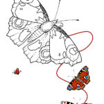 dibujo mariposa para colorear