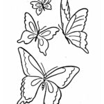 dibujos de mariposas para colorear