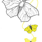 dibujos de mariposas para colorear