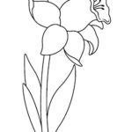 dibujos para colorear flores