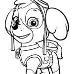 dibujos patrulla canina para colorear