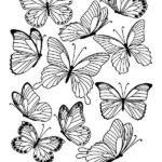 mariposas para colorear