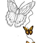 mariposas para colorear